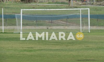 erga-ampliani